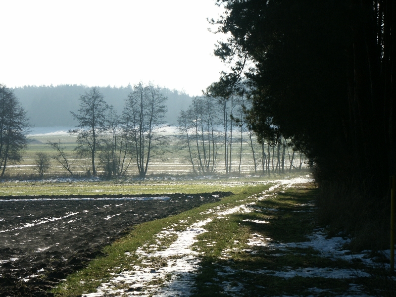 Winterlandschaft in der Gemarkung Oppenrod